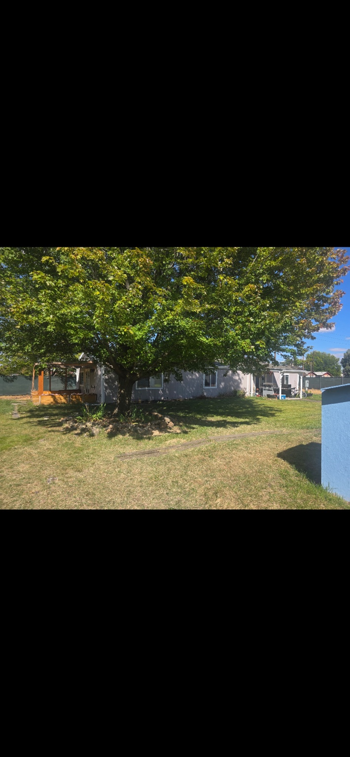 JOE'S Place #1 yard and exterior
